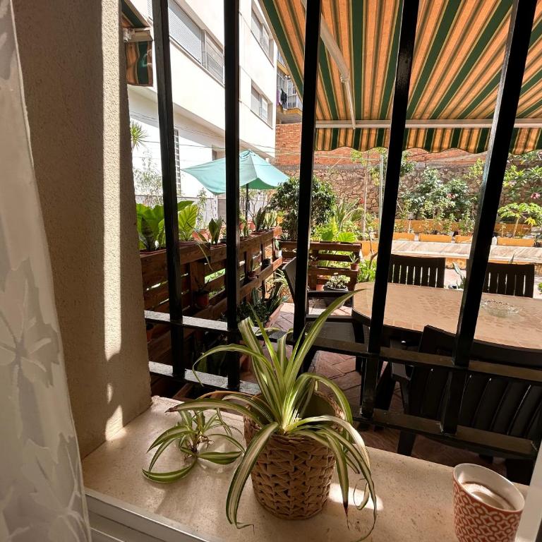 Apartamento Gloria 2 - Apartamento - 20