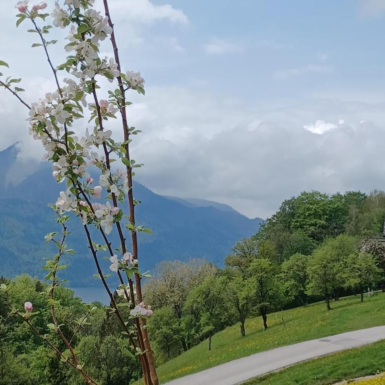 AuerHias - Apartment mit Seeblick - 22