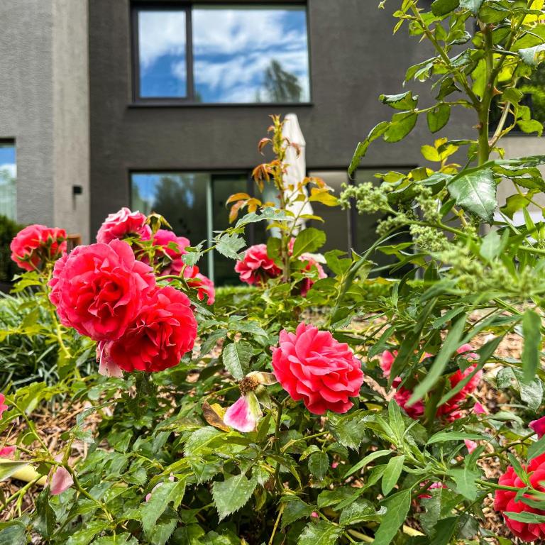 Garden Apartment Untermühle - Brixen Südtirol Guest Pass included - Estudio con terraza - 19