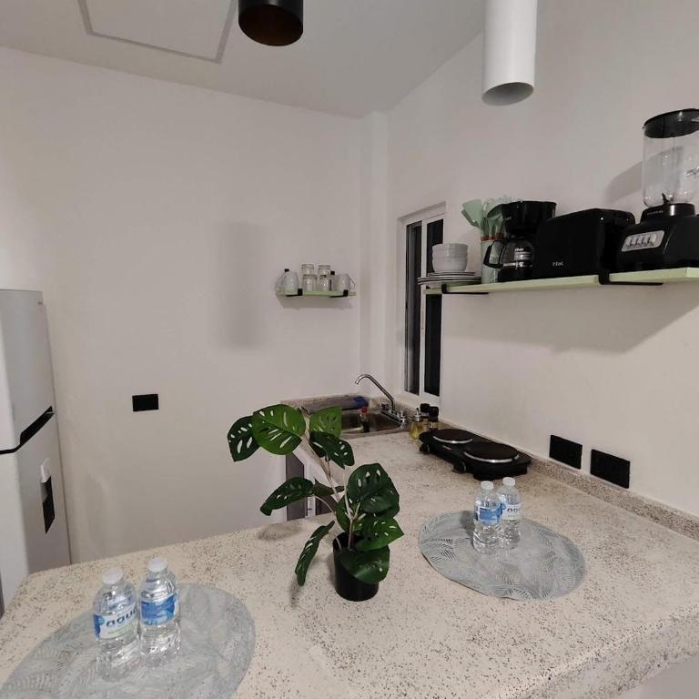 La Quinta Caribeña - Two-Bedroom Apartment - 7