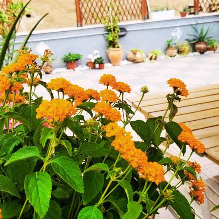 Casetta Polì- Appartamento con terrazza - Centro Storico - Appartamento con 1 Camera da Letto - 16