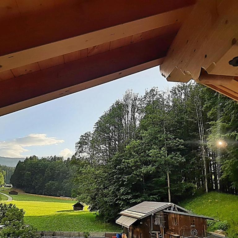 Ferienwohnungen Pfanzelter - Apartment mit Balkon - 2