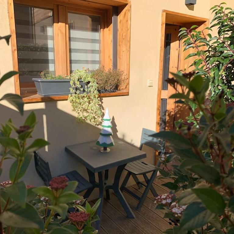 Chaleureux studio plein sud en Tarentaise ! - Appartement 1 Chambre - 20