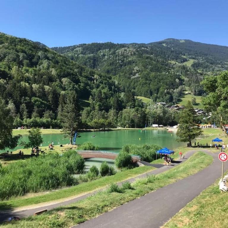 Chaleureux studio plein sud en Tarentaise ! - Appartement 1 Chambre - 25
