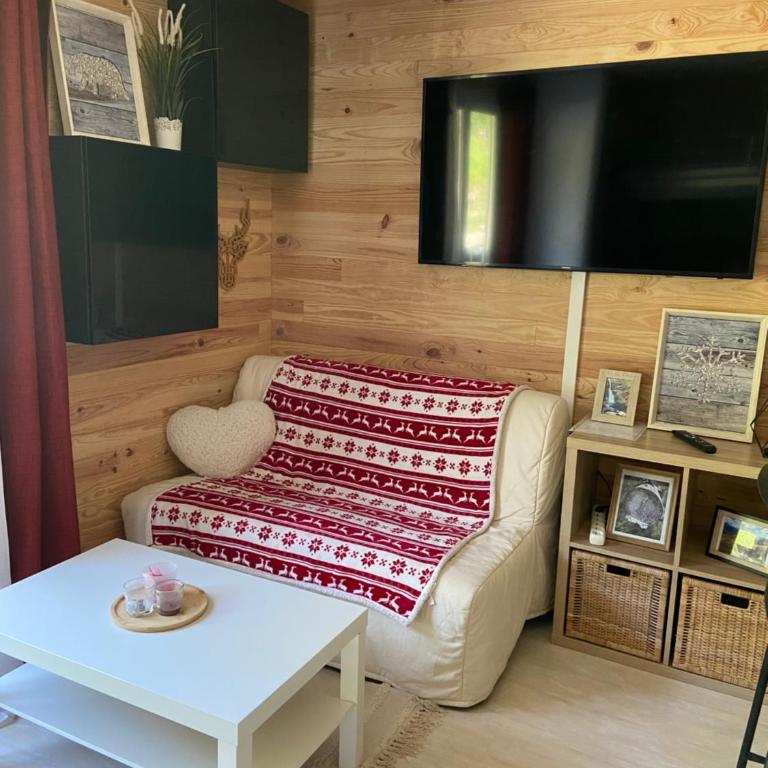 Appartements au cœur de la station de ski "La Foux D'allos" - Appartement - 4