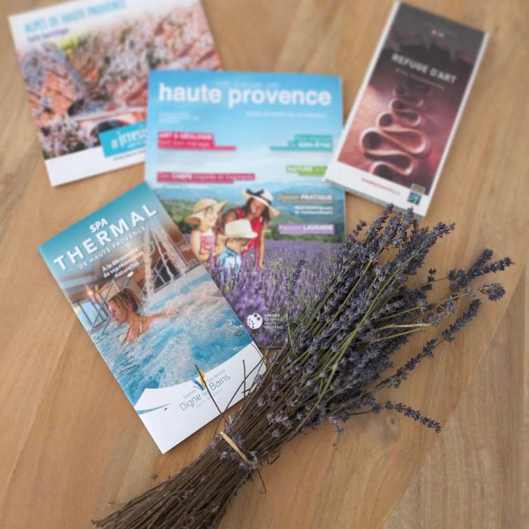 La Provence vous Attend***!!! - 1er étage - Appartement 1 Chambre - 27