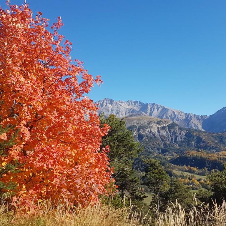 La Provence vous Attend***!!! - 1er étage - Appartement 1 Chambre - 37