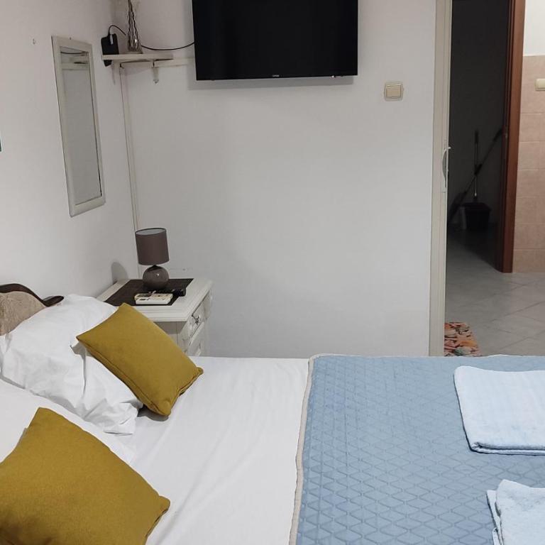 Pejovic Guest House - Apartman sa 1 Spavaćom Sobom - 9