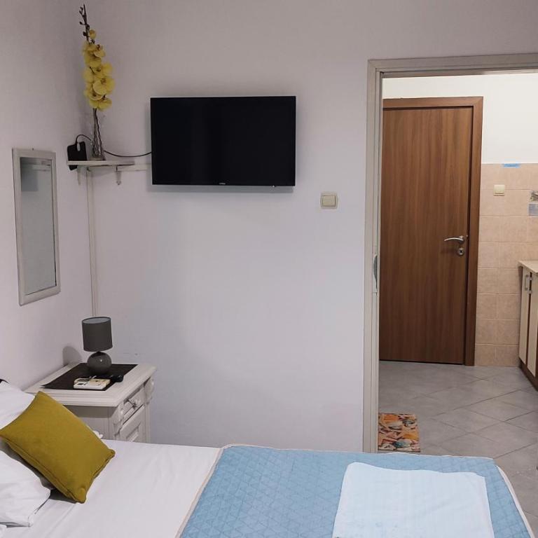 Pejovic Guest House - Apartman sa 1 Spavaćom Sobom - 8