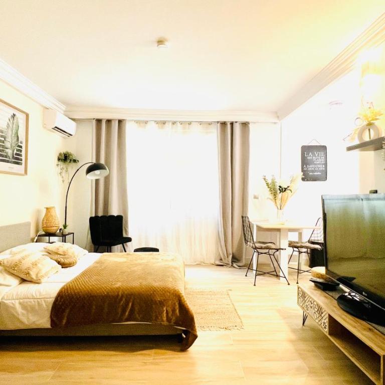 LE MIRAMAR Nice - Clim, Parking, Wifi et piscine - Appartement 1 Chambre - 3