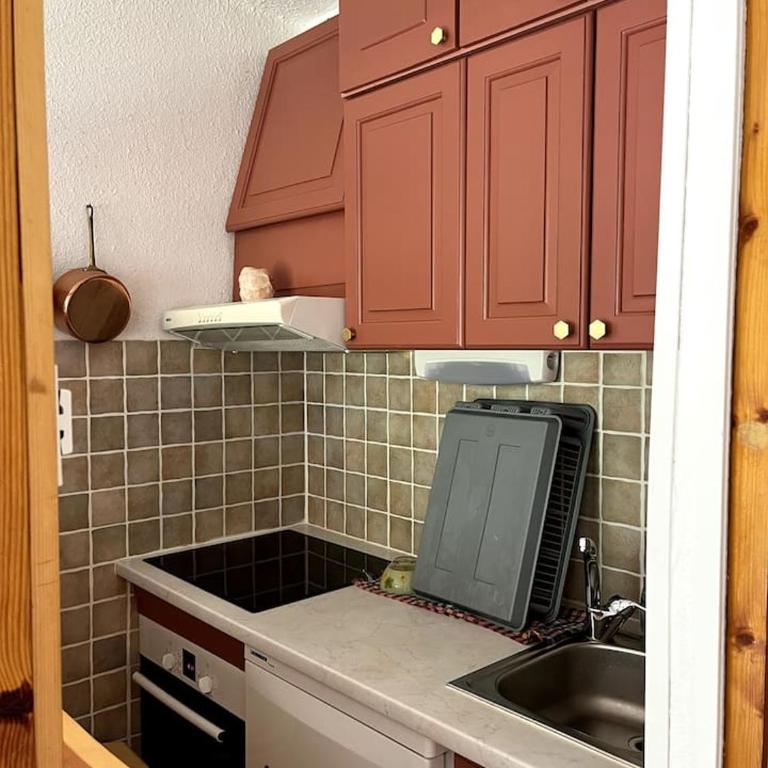 Grand studio avec véranda La Foux d'Allos - Appartement 1 Chambre - 12