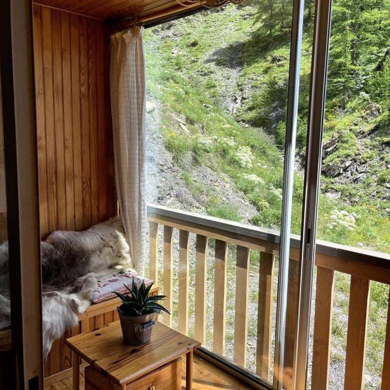 Grand studio avec véranda La Foux d'Allos - Appartement 1 Chambre - 8