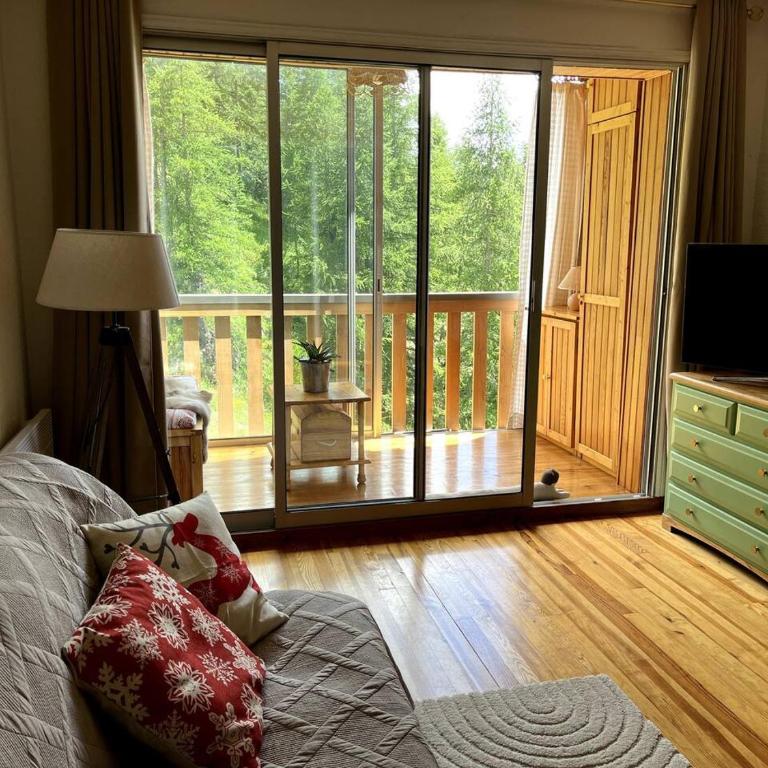 Grand studio avec véranda La Foux d'Allos - Appartement 1 Chambre - 7