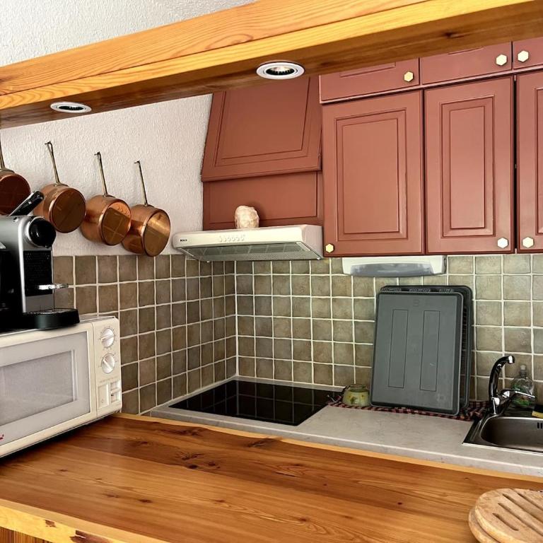 Grand studio avec véranda La Foux d'Allos - Appartement 1 Chambre - 13