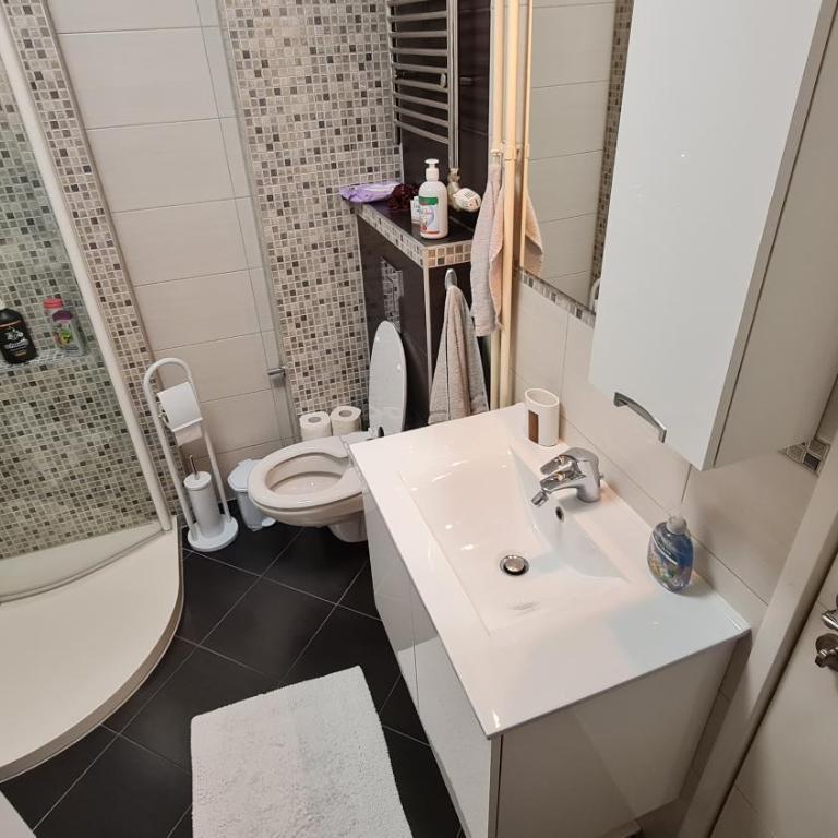 Sarajevo City Deluxe Apartment - Apartman sa 2 Spavaće Sobe - 8