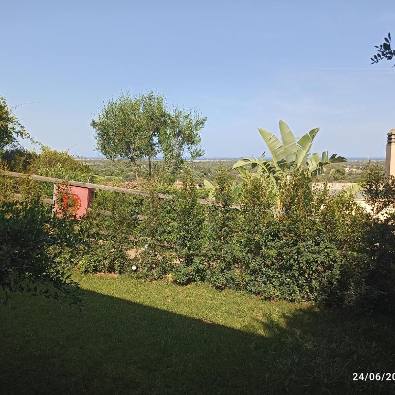 ERIKA House Is Molas - Villa con 1 Camera da Letto - 15