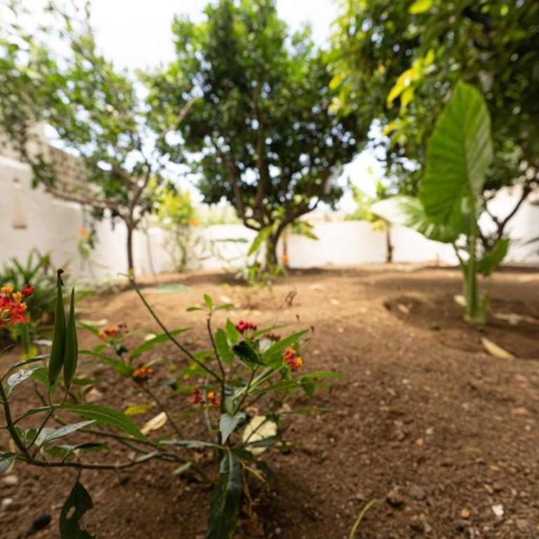 Finca Artiles - Casa de 5 dormitorios - 27