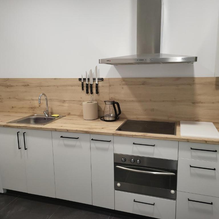 Bilbao ciudad del mundo, arte, tele-trabajo y ocio - Two-Bedroom Apartment - 70