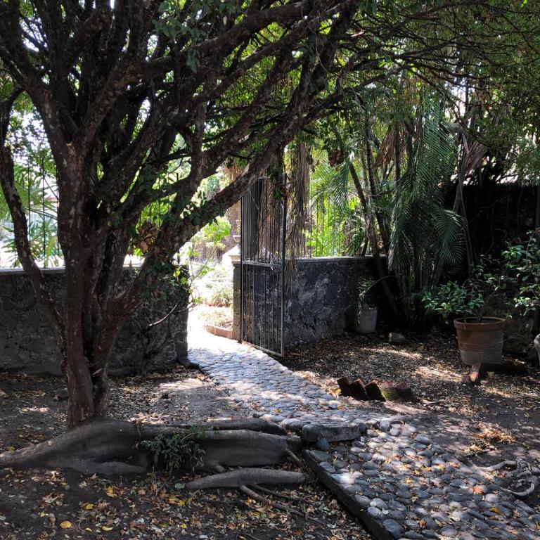 Casa La Bonita - Casa de 4 dormitorios - 19