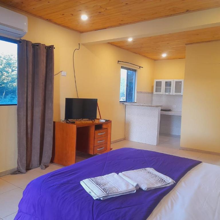 Resort Sport - Suite with Terrace - 4