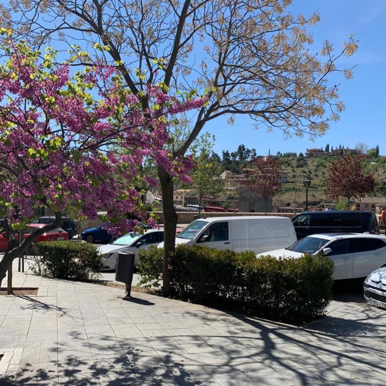 Vega del Tajo- CON PARKING GRATIS - Apartamento de 1 dormitorio - 3