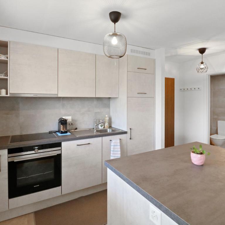 Appartement central et confortable - Apartment mit 2 Schlafzimmern - 55