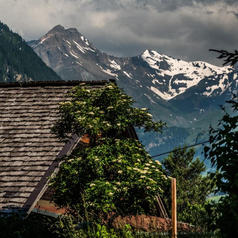 Exklusives Chalet in Alleinlage mit privatem Saunahaus - Haus mit 3 Schlafzimmern - 84
