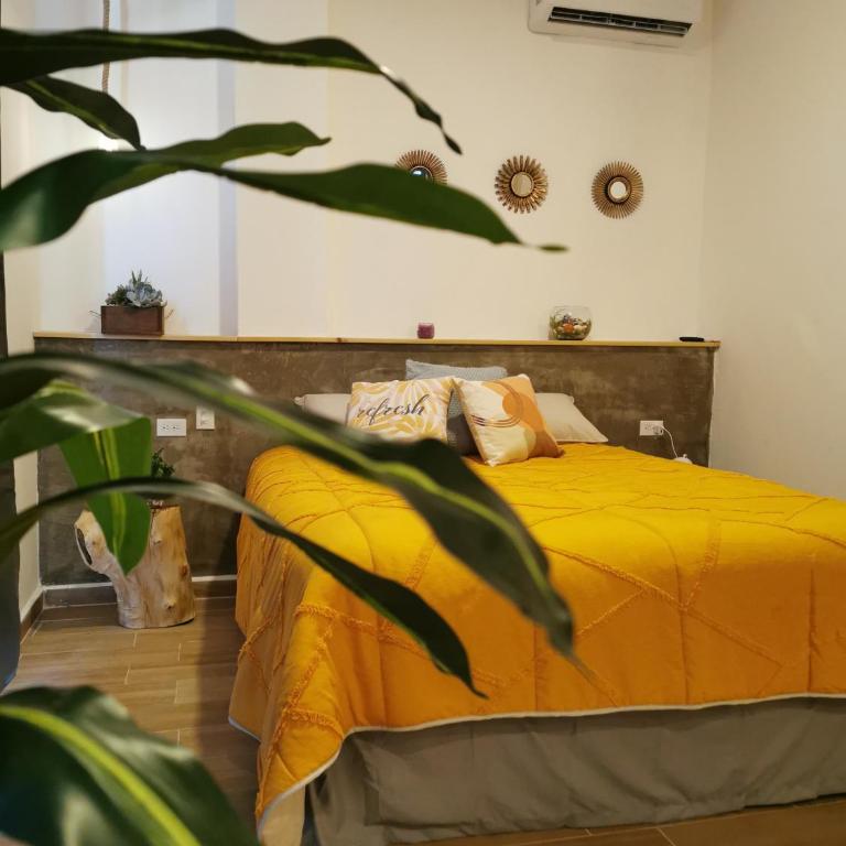 MaaR Estudios 5, a 2 cuadras del Malecón de La Paz - Apartamento de 1 dormitorio - 40