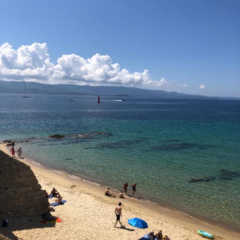 Spacieux et confortable appartement T3 au centre ville d Ajaccio - Appartement 2 Chambres - 25