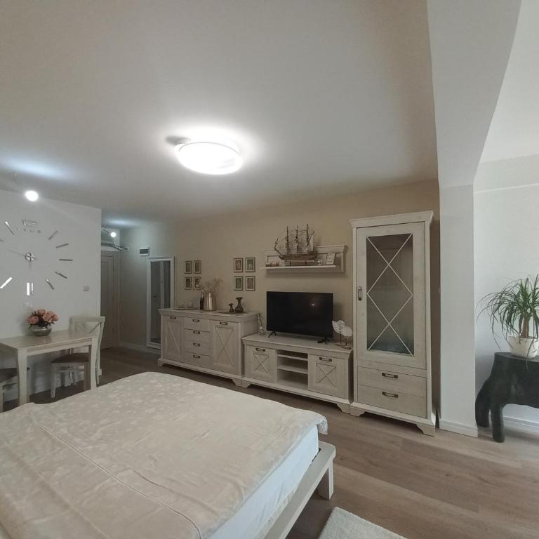 Egon Apartments - Deluks Studio sa Bračnim Krevetom (King-size) - 3