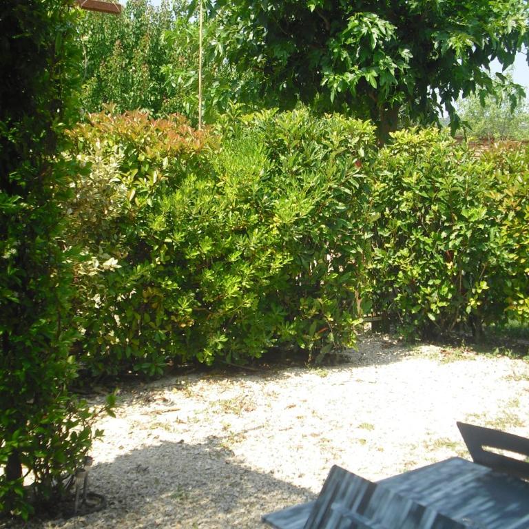Lou mas li Pitchoun "Jasmin" - Maison 1 Chambre - 14