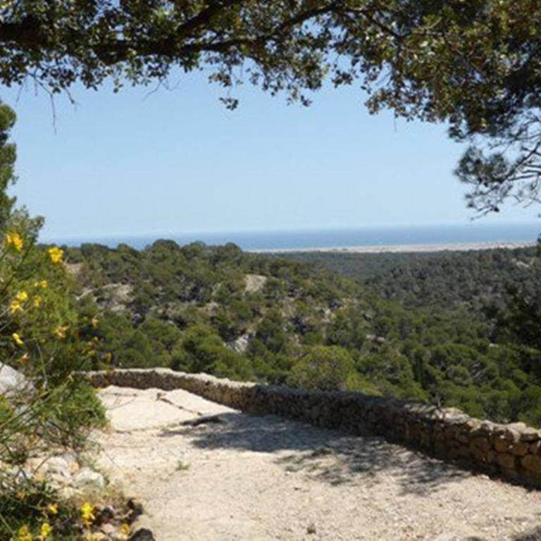 Entre mer et garrigue - Villa 3 Chambres - 67