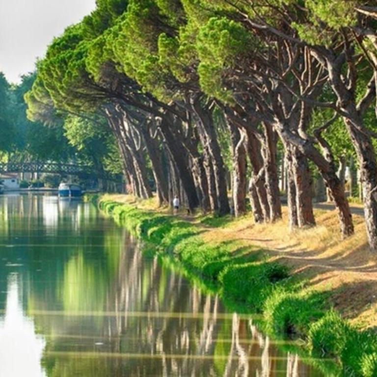 Entre mer et garrigue - Villa 3 Chambres - 45