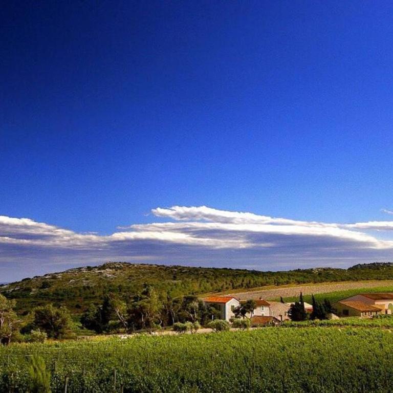 Entre mer et garrigue - Villa 3 Chambres - 61