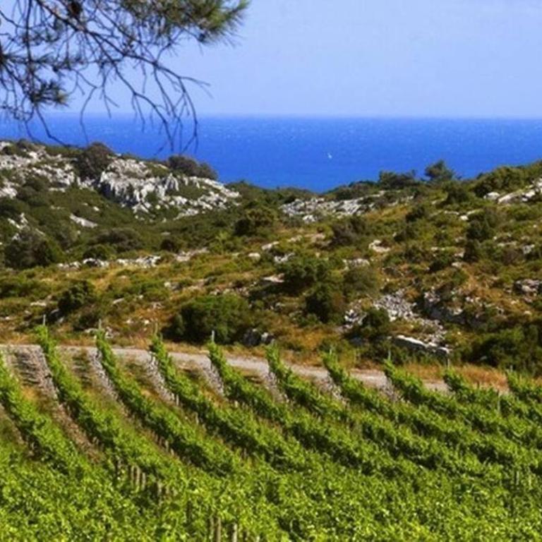 Entre mer et garrigue - Villa 3 Chambres - 64