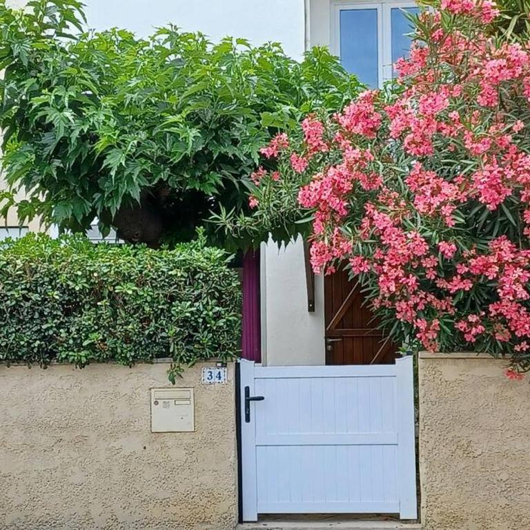 Entre mer et garrigue - Villa 3 Chambres - 26