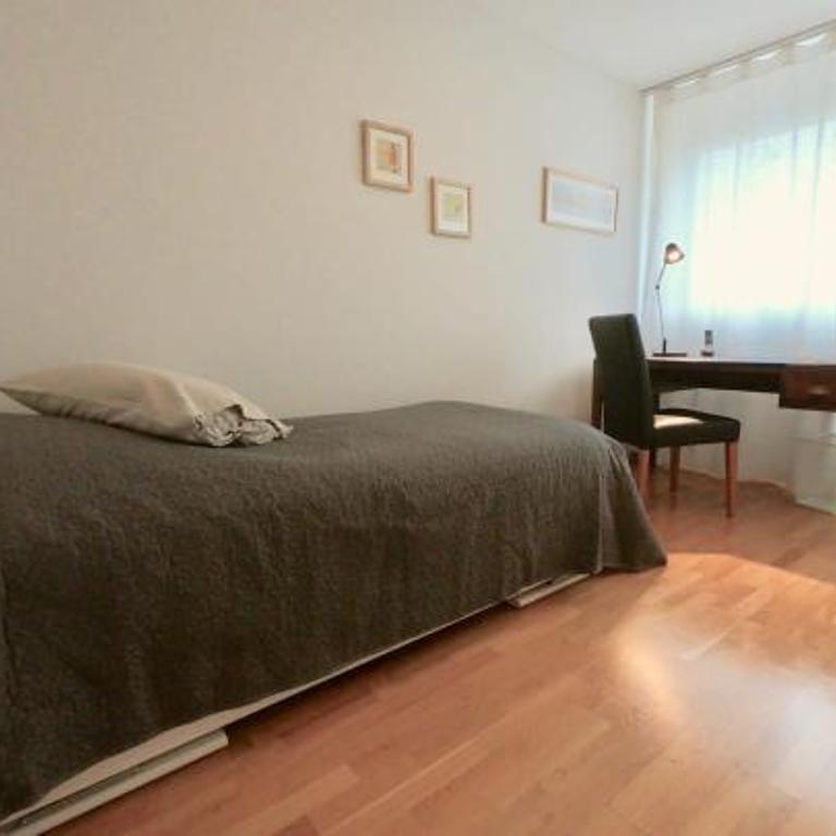 Comfortable, sunny, quiet, good location! - Apartment - 24