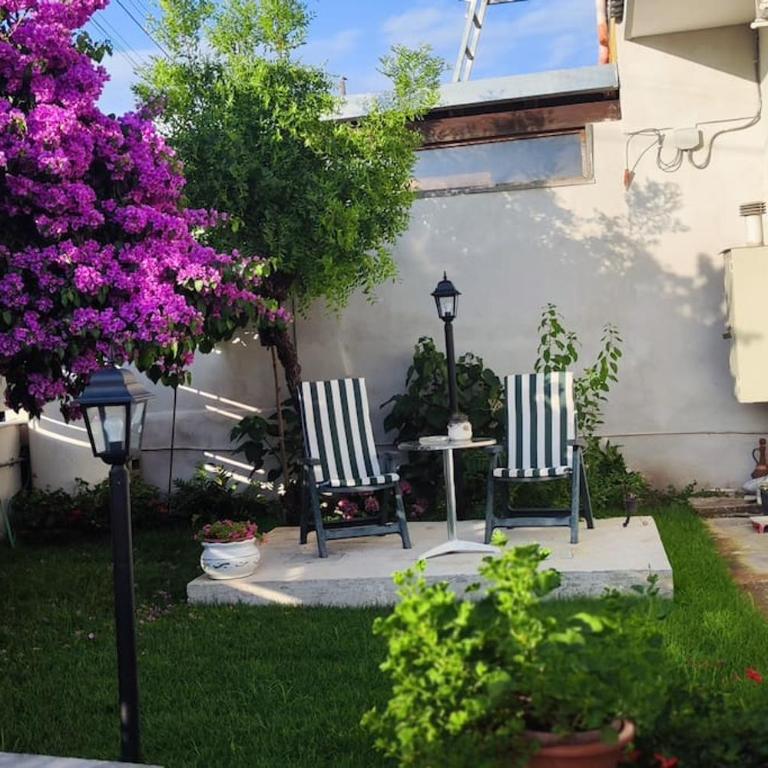 Domus Parva, appartamento con giardino - One-Bedroom House - 11