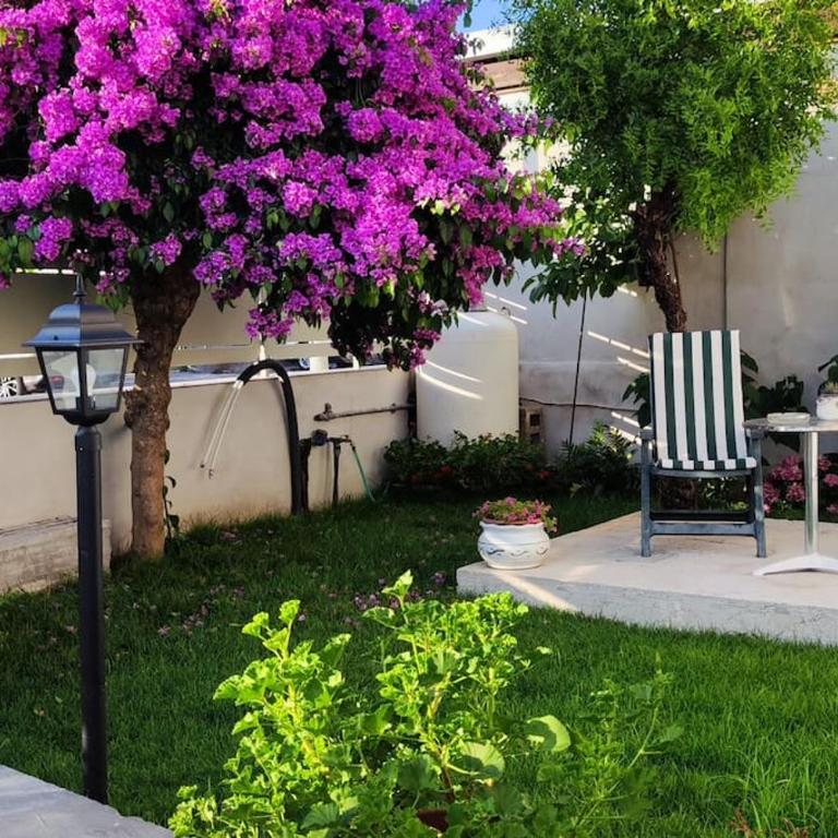 Domus Parva, appartamento con giardino - One-Bedroom House - 15