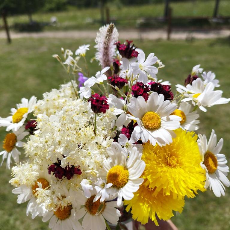 Melanija - Two-Bedroom House - 44