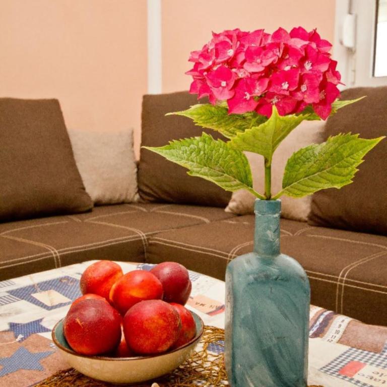 Apartmani Stevo - Apartman sa 1 Spavaćom Sobom - 9