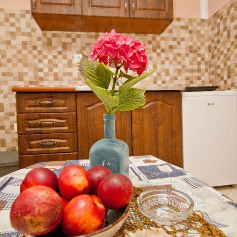 Apartmani Stevo - Apartman sa 1 Spavaćom Sobom - 17