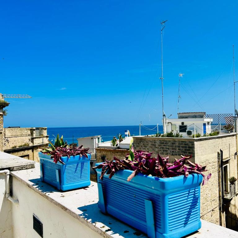 Santa Scolastica Home - One-Bedroom Apartment - 4
