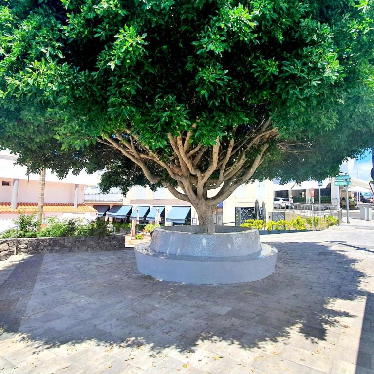 Casa Libra - Villa con piscina privada - 56