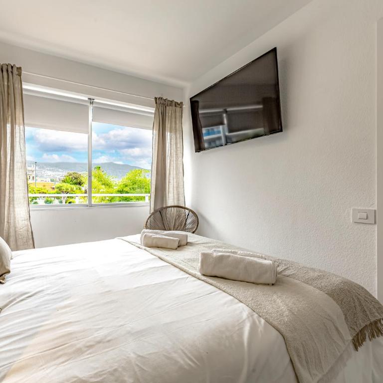 Terraza con vistas al Teide 2 - Apartamento de 1 dormitorio - 10