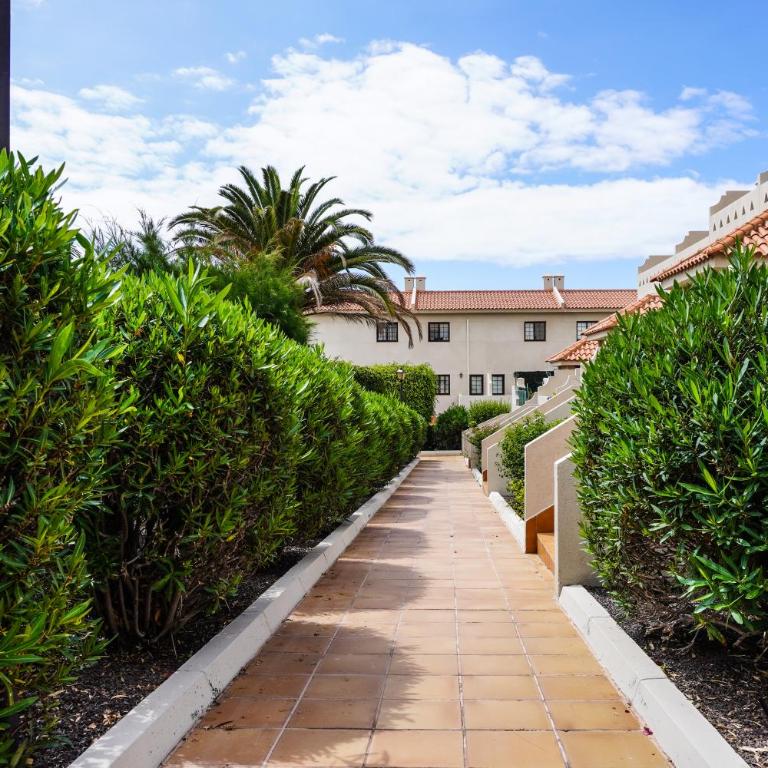 Bright House With Working Space - Three-Bedroom Apartment - 51