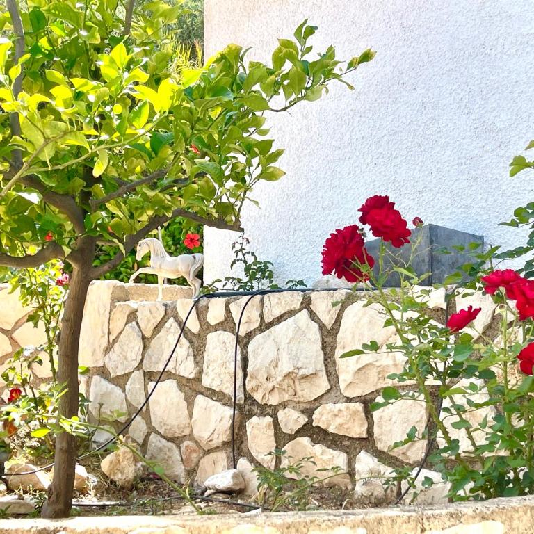 Casa El Paraiso en Altea - Villa de 2 dormitorios - 49