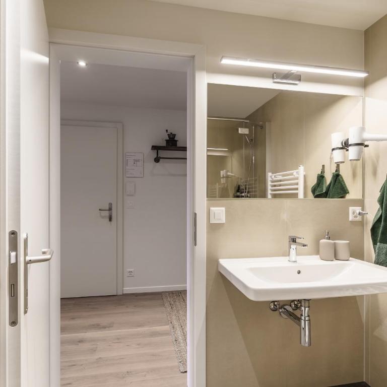 Heart of Interlaken Apartments - Monolocale Superior - 4