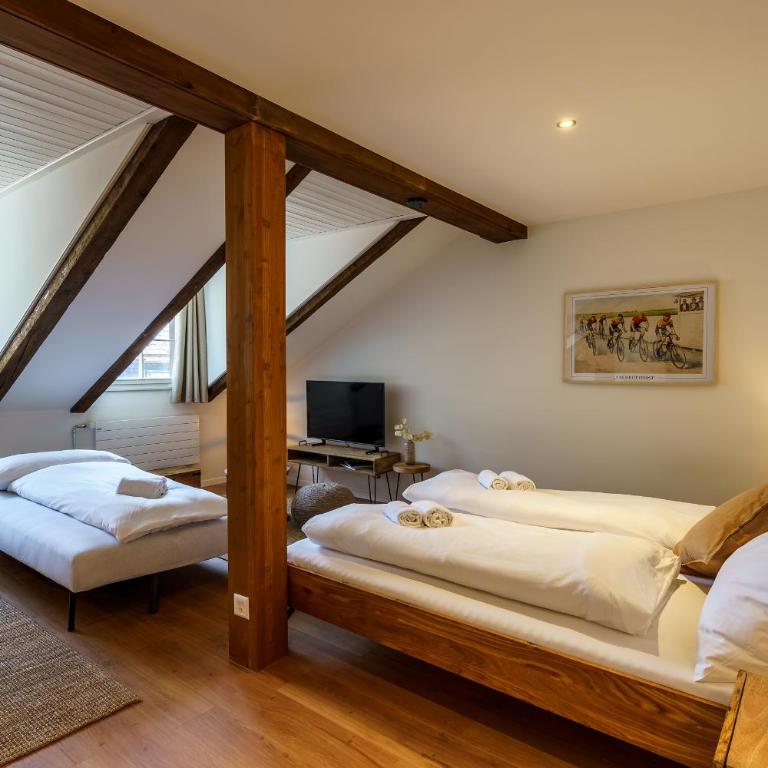 Heart of Interlaken Apartments - Monolocale Superior - 6