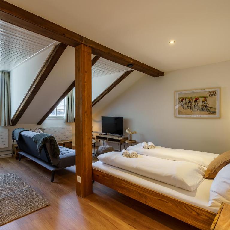 Heart of Interlaken Apartments - Monolocale Superior - 15